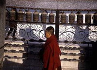   привычки тибетцев