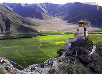   тибетское правительство в изгнании