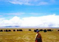   тибет: климат